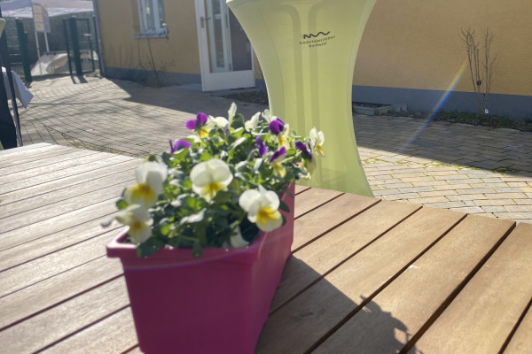 Blumen zur Wiedereröffnung Kita Berlin Ernststraße