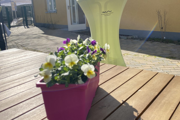 Blumen zur Wiedereröffnung Kita Berlin Ernststraße