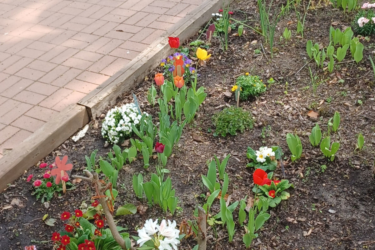 Frühlingswoche Kita Havelsternchen, Luisenstraße in Berlin Reinickendorf