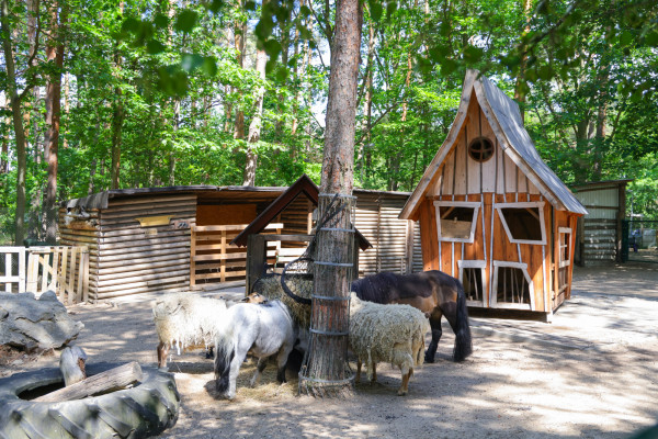 Tierische Begegnungen in der Kita Griesinger Waldfüssler