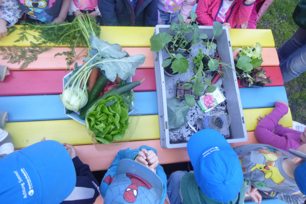 Hochbeet Kita Havelpiraten 2025 - Kindertagesstätten Nordwest, Eigenbetrieb von Berlin