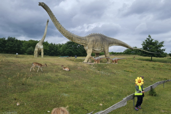 Von kleinen Krabbeltieren bis zu großen Dinosauriern – besondere Erlebnisse aus der Kita