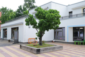 Baum vor der Kita Cunostraße