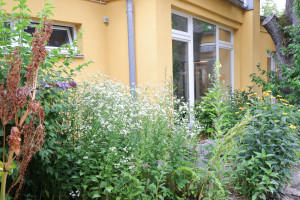 Vorgarten der Kita Ernststraße