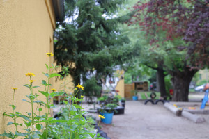 Blumen vor der Kita Ernststraße