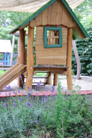 Lavendel vor dem Klettergerüst der Kita Ernststraße