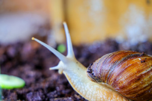 Kita Ernststraße in Berlin Reinickendorf. Impressionen, Bild 22