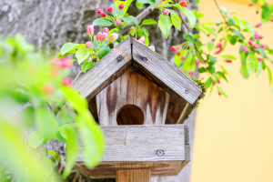 Kita Ernststraße in Berlin Reinickendorf. Impressionen, Bild 20