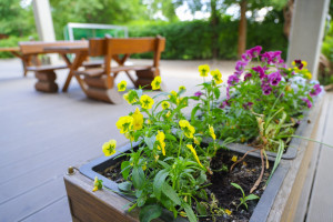 Blumen und Bank im freien in der Kita Freinet-Haus Entdeckerland
