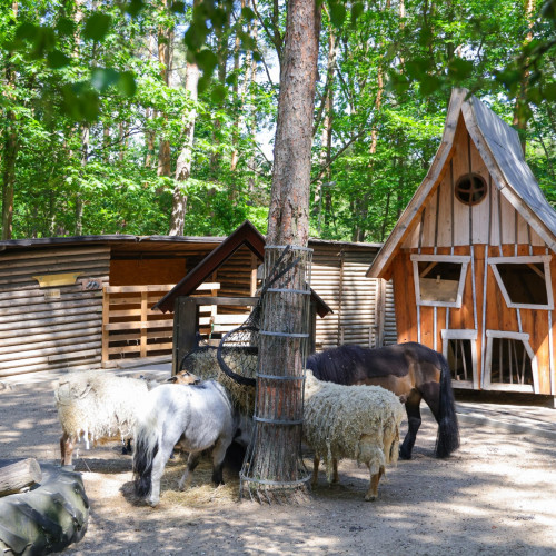 Tiergestützte Pädagogik - Garten mit Tieren in der Kita Griesinger Waldfüssler, Griesinger Straße, Kindertagesstätten Nordwest