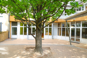 Innenhof mit großem Baum in der Kita Homburger Straße