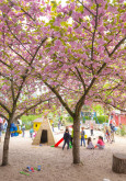 Garten der Kita Humboldtstraße, Kindertagesstätten Nordwest