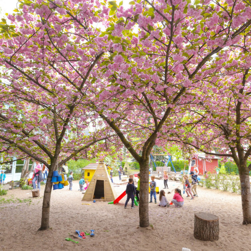 Garten der Kita Humboldtstraße, Kindertagesstätten Nordwest