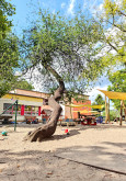 Garten der Kita Sonnenkinder,  Auguste-Viktoria-Allee, Kindertagesstätten Nordwest