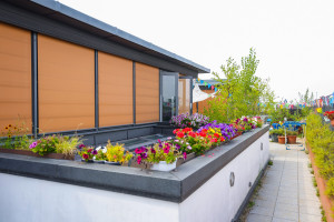 Dachtereasse der Kita Walter-Benjamin-Platz mit vielen Blumen