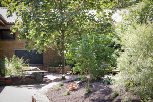 Garten der Kita Wichernwiese